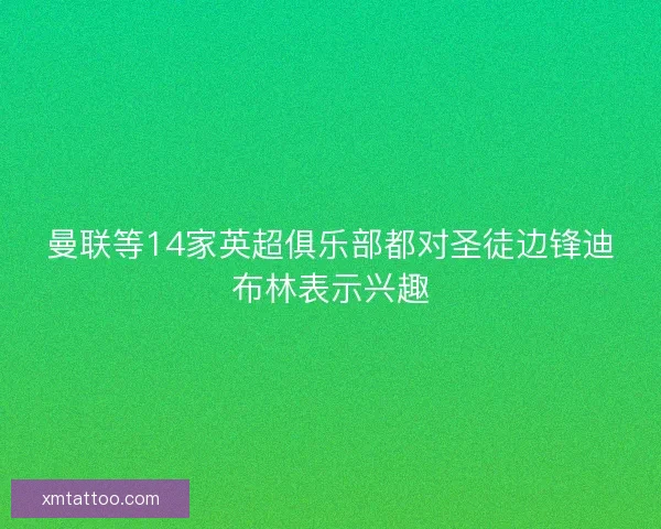 曼联等14家英超俱乐部都对圣徒边锋迪布林表示兴趣